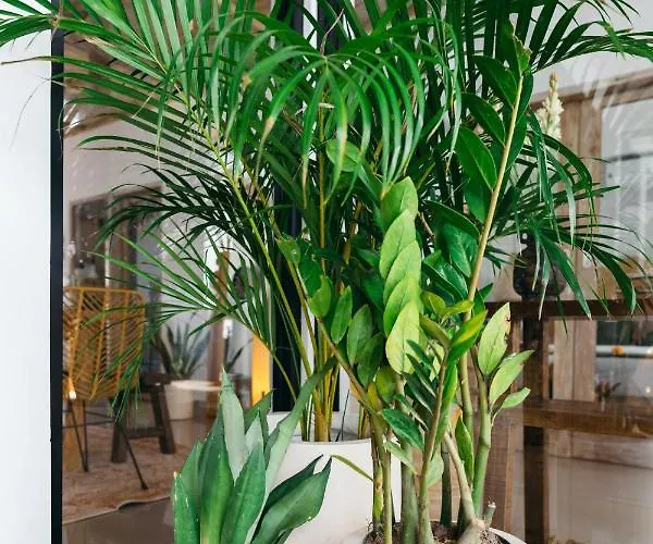 Aarna - Tropical Chic Private Oasis In *